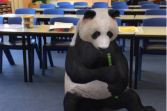 panda-in-the-classroom