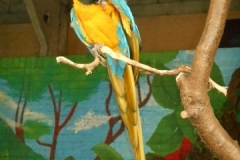 DSCN4807