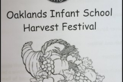 Harvest festival 2017
