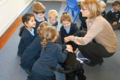 Pets visit