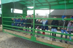 Year 2 Rushall Farm