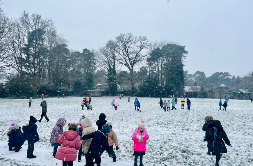 Spring Term 2026 – Newsletter 5